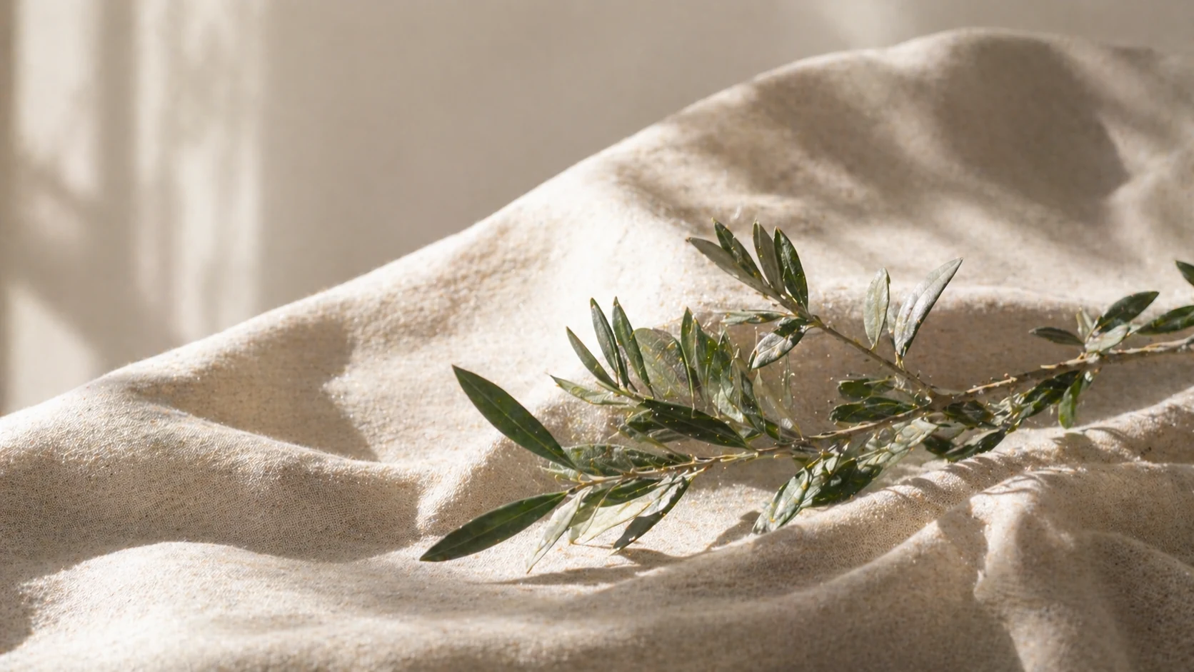 La pureté végane : le luxe du vivant.
